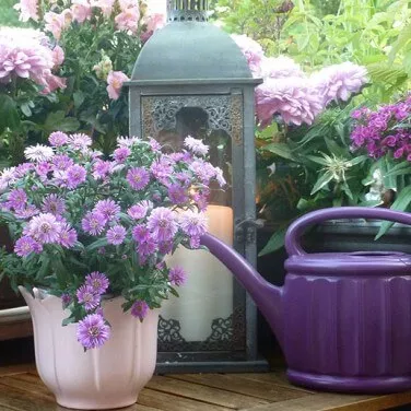 त्योहारों के दौरान अपने बालकनी गार्डन को सजाना