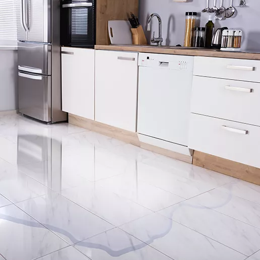 Want to avoid water leakage in the kitchen even before it occurs? Here’s how