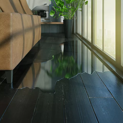 Detecting common home water leakage signs and spots (and the solution)