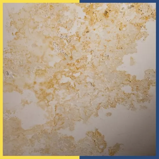 Secure your home from hidden leaks with waterproofing