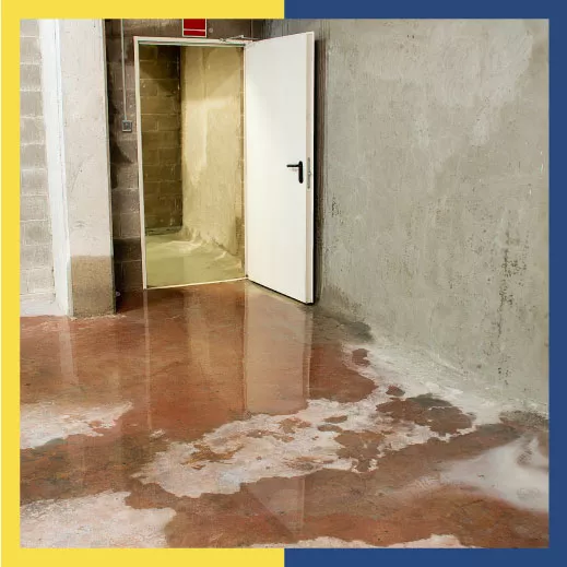 A Step-by-Step Guide to Fixing a Leaking Basement