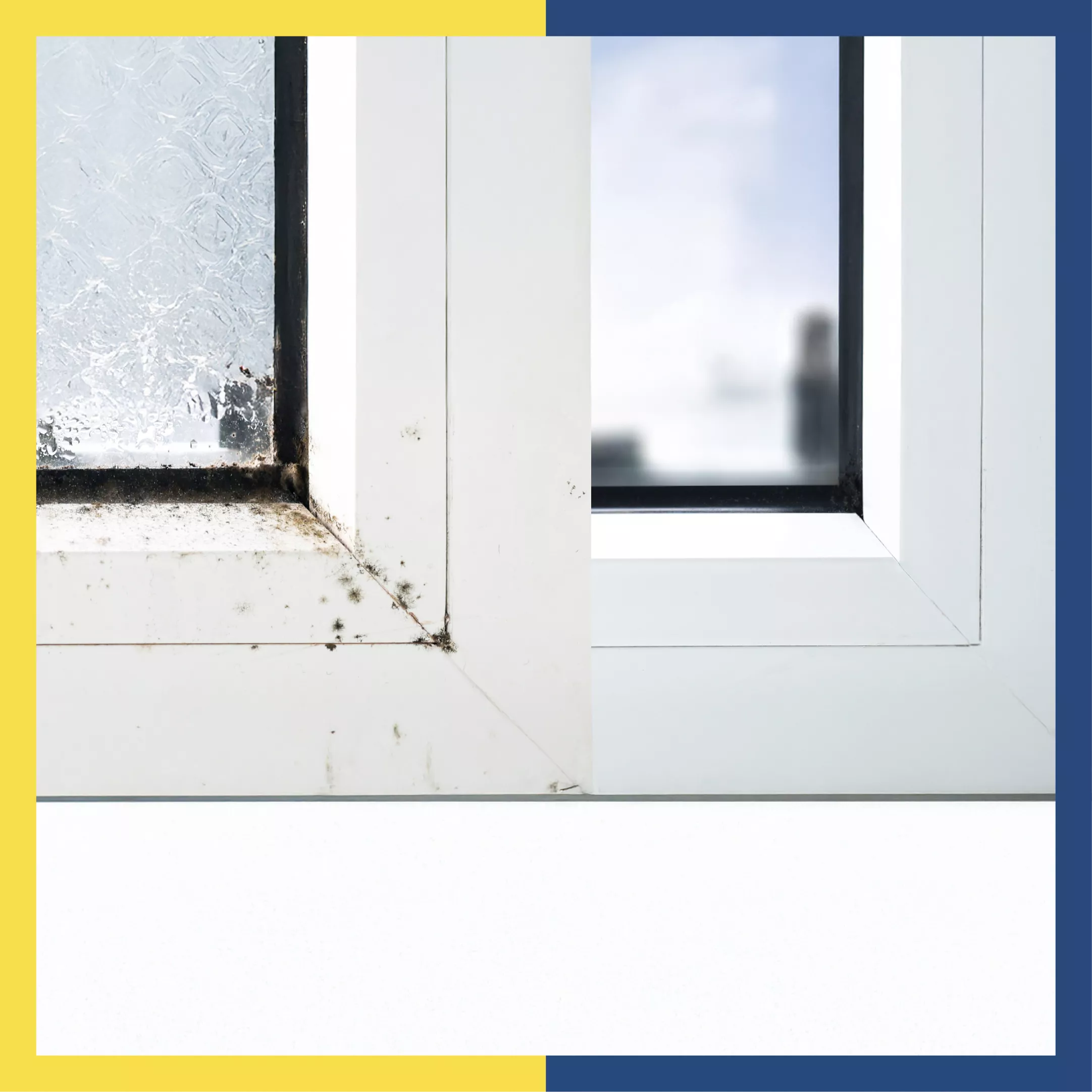 Dampness in structure – sources, effects and solutions