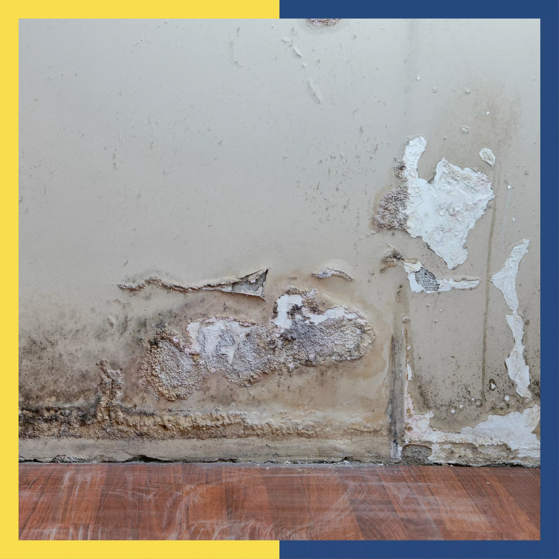 Dampness, Seepage, and Leakage - What's the Difference?