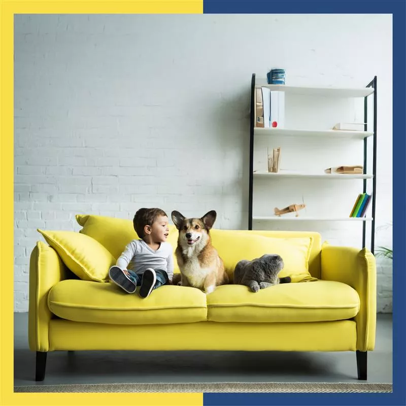 Waterproof coating for your walls is a must: Know why