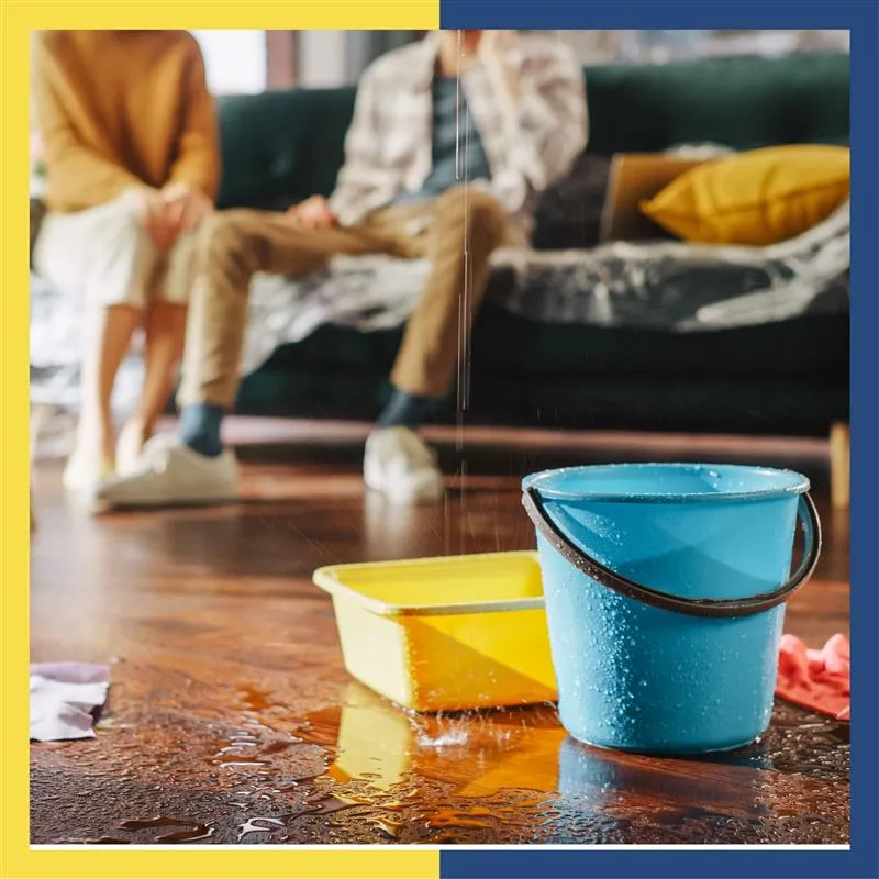 5 Ways to identify the root cause of water leakage in flats