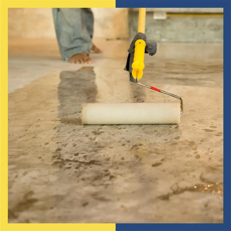 What to expect from Dr. Fixit? Waterproofing solutions, price, and more