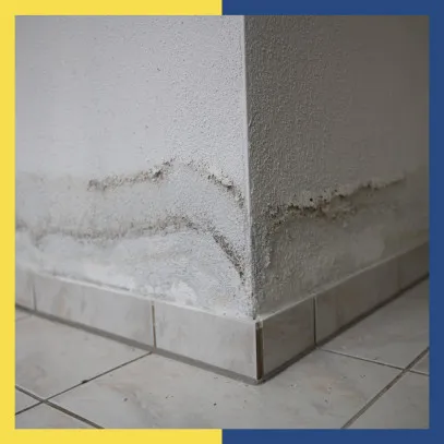 A homebuyer’s guide to identifying water seepage issues before purchase