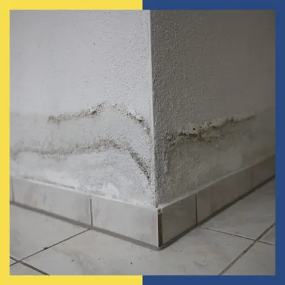 Wall Seepage Solutions: Root Causes and the Right Fix for Each