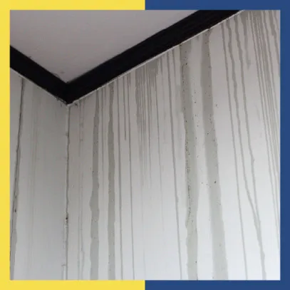 How to Find a Hidden Water Leak Inside a Wall