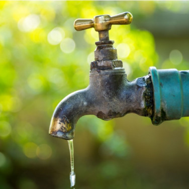 House waterproofing: Guarding your home against moisture from the garden