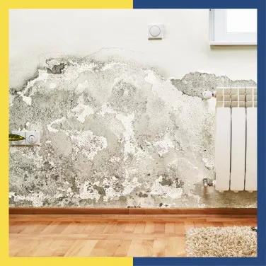 घर में सीलन की समस्या? जानिए असरदार सीलन हटाने के उपाय