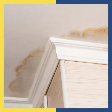 Your essential guide to leaking roof solutions in India