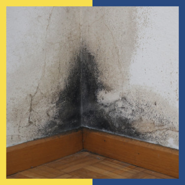 Struggling with water leaking from walls? This is your guide to damproofing