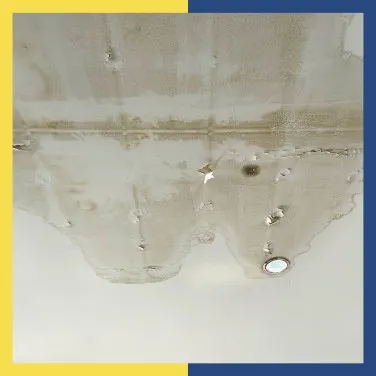 Choosing the right roof leakage solution for different climates