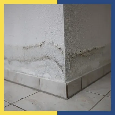 A homebuyer’s guide to identifying water seepage issues before purchase
