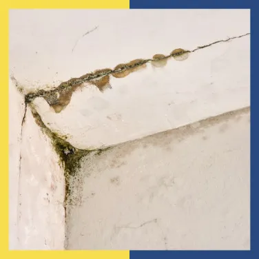 Wall Seepage: Causes, Warning Signs & Permanent Solutions