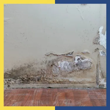 How to Stop Rising Damp in Boundary & Compound Walls