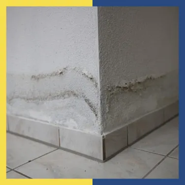 Wall Seepage Solutions: Root Causes and the Right Fix for Each