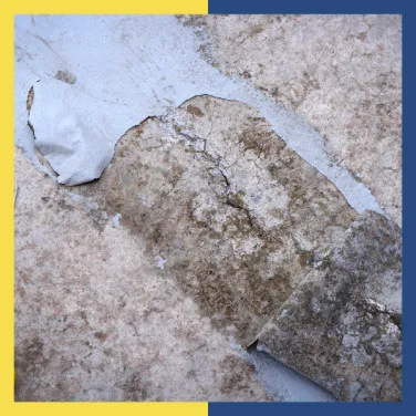 Roof & Floor Slab Crack Repair: Causes and Permanent Solutions