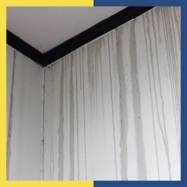 How to Find a Hidden Water Leak Inside a Wall